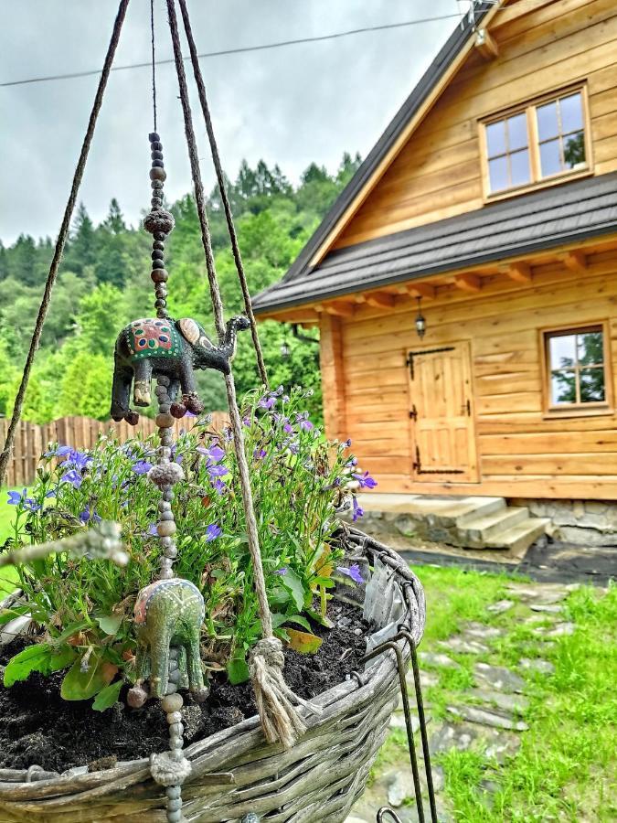 Fajna Chatka Ustrzyki Dolne Exteriér fotografie